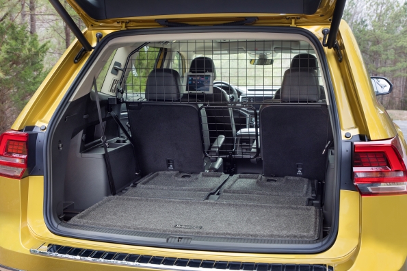 dog chewed cable wire